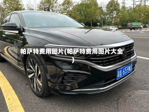 帕萨特费用图片(帕萨特费用图片大全)-第2张图片