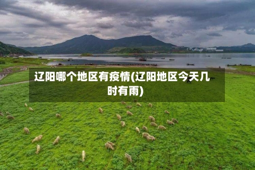 辽阳哪个地区有疫情(辽阳地区今天几时有雨)