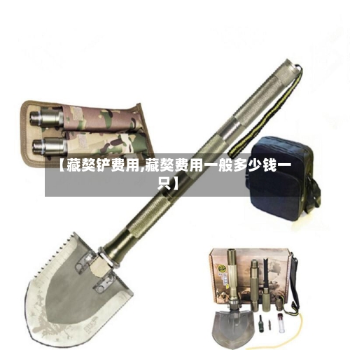 【藏獒铲费用,藏獒费用一般多少钱一只】-第2张图片