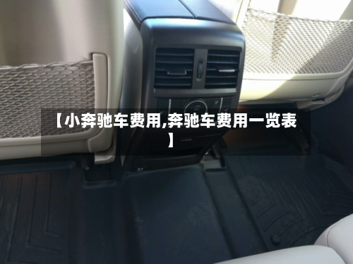 【小奔驰车费用,奔驰车费用一览表】-第2张图片
