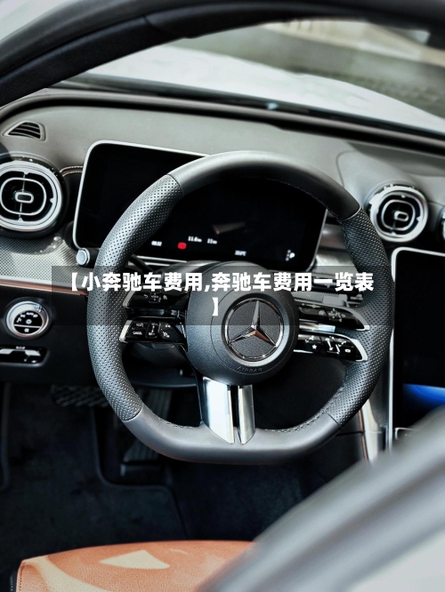 【小奔驰车费用,奔驰车费用一览表】