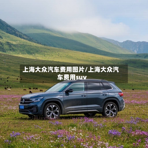 上海大众汽车费用图片/上海大众汽车费用suv-第3张图片