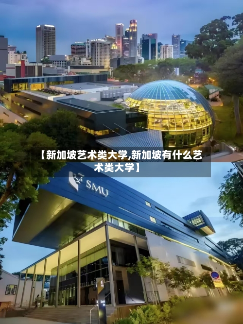 【新加坡艺术类大学,新加坡有什么艺术类大学】-第3张图片