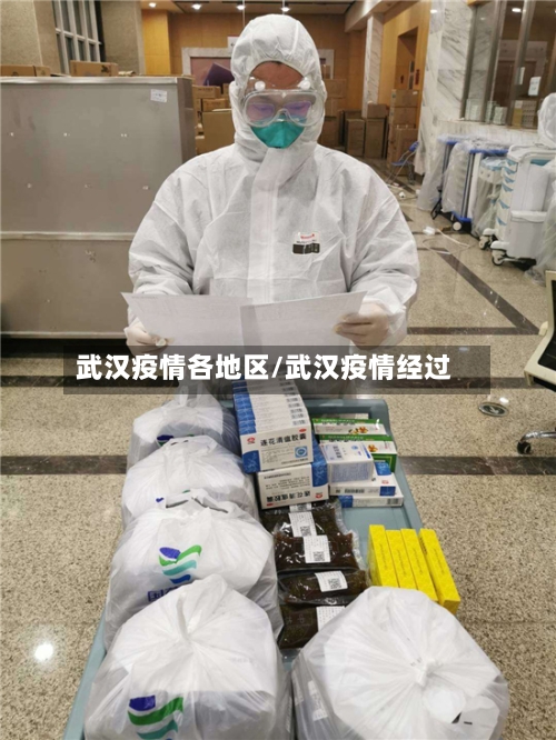 武汉疫情各地区/武汉疫情经过-第3张图片