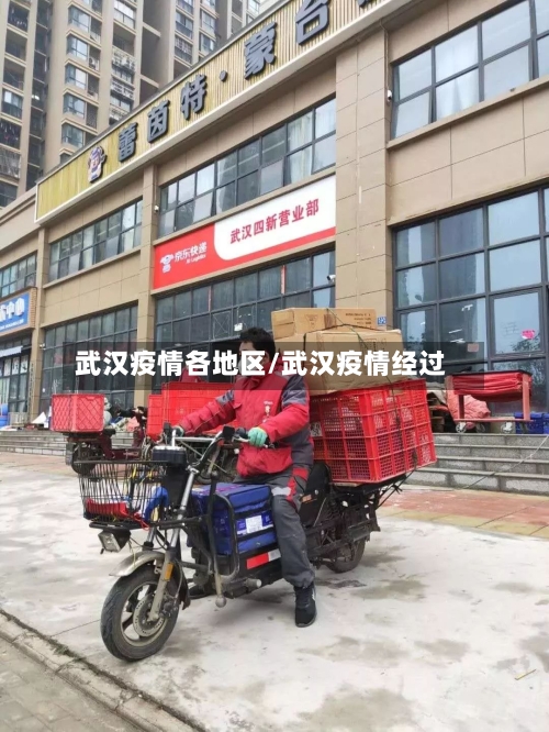 武汉疫情各地区/武汉疫情经过-第2张图片