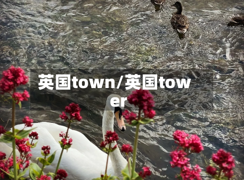 英国town/英国tower