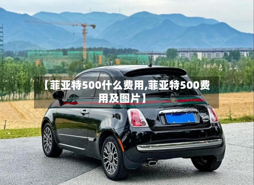 【菲亚特500什么费用,菲亚特500费用及图片】-第3张图片