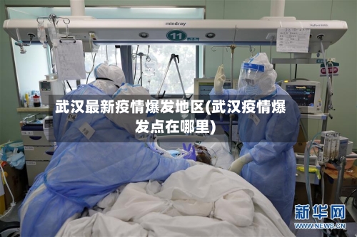 武汉最新疫情爆发地区(武汉疫情爆发点在哪里)-第3张图片