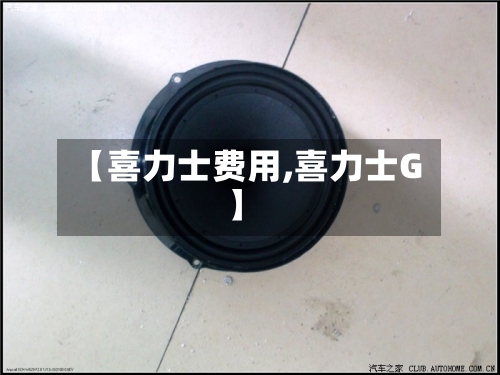 【喜力士费用,喜力士G】-第2张图片