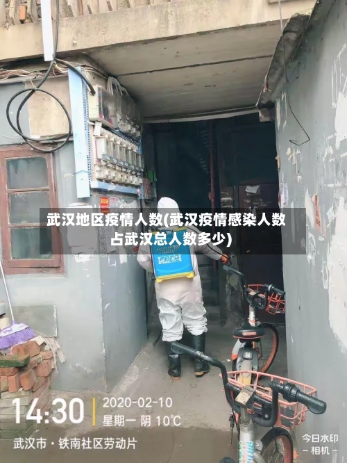 武汉地区疫情人数(武汉疫情感染人数占武汉总人数多少)