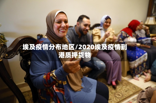 埃及疫情分布地区/2020埃及疫情到港质押货物-第3张图片
