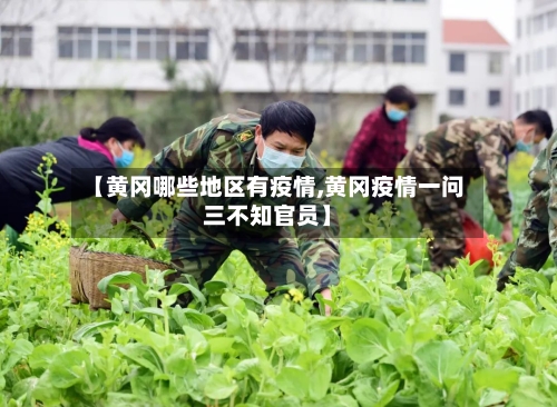 【黄冈哪些地区有疫情,黄冈疫情一问三不知官员】