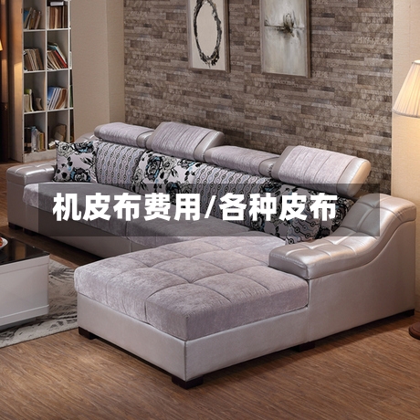 机皮布费用/各种皮布