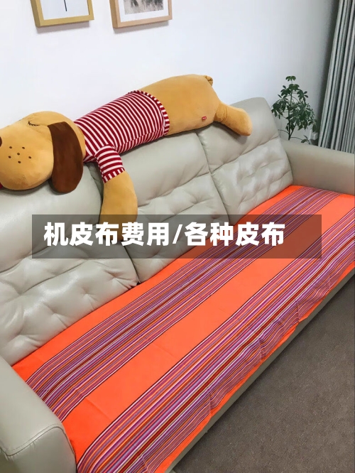 机皮布费用/各种皮布-第2张图片