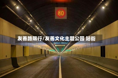 友善路限行/友善文化主题公园 站街-第2张图片