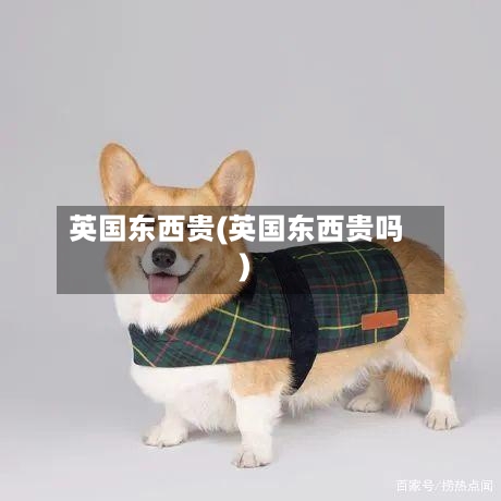 英国东西贵(英国东西贵吗)