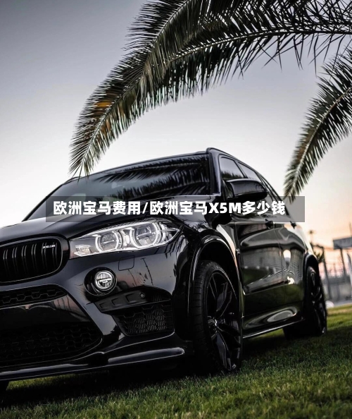 欧洲宝马费用/欧洲宝马X5M多少钱-第2张图片