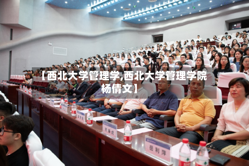 【西北大学管理学,西北大学管理学院杨倩文】