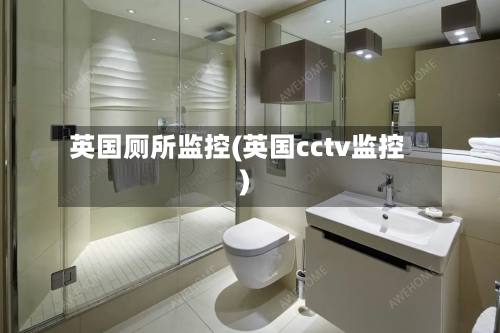 英国厕所监控(英国cctv监控)