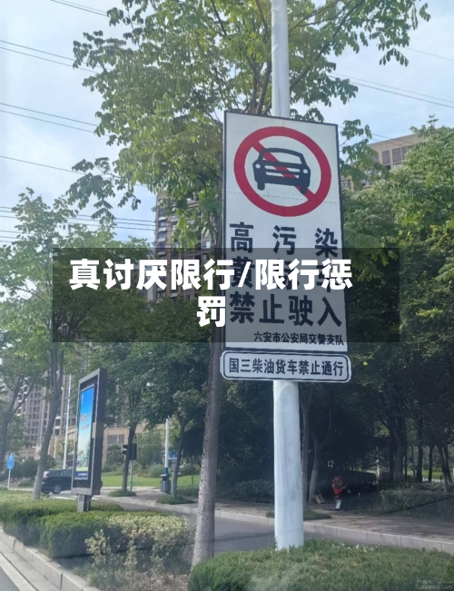 真讨厌限行/限行惩罚-第3张图片