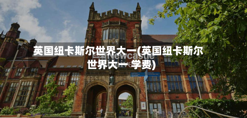 英国纽卡斯尔世界大一(英国纽卡斯尔世界大一 学费)-第3张图片