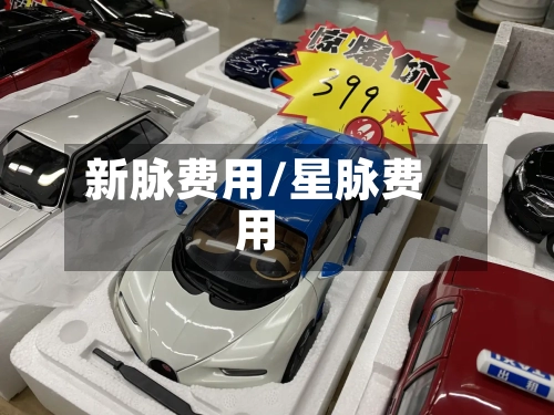 新脉费用/星脉费用-第2张图片