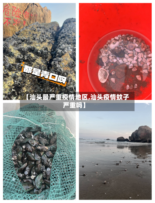 【汕头最严重疫情地区,汕头疫情蚊子严重吗】-第3张图片