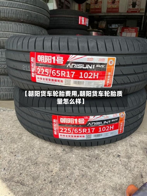 【朝阳货车轮胎费用,朝阳货车轮胎质量怎么样】-第3张图片