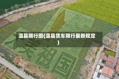 温县限行图(温县货车限行最新规定)-第2张图片