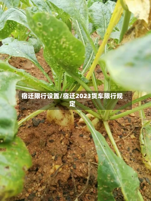 宿迁限行设置/宿迁2023货车限行规定