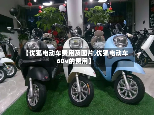 【优狐电动车费用及图片,优狐电动车60v的费用】