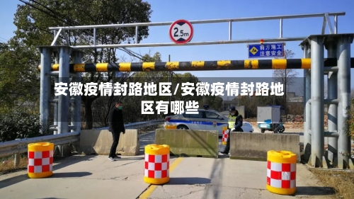 安徽疫情封路地区/安徽疫情封路地区有哪些-第3张图片