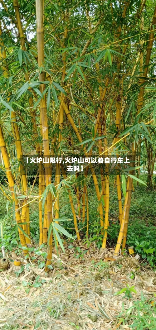 【火炉山限行,火炉山可以骑自行车上去吗】