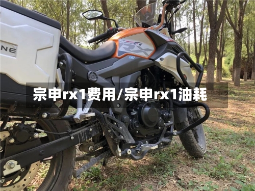 宗申rx1费用/宗申rx1油耗