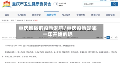 重庆地区的疫情怎样/重庆疫情是哪一年开始的呢-第3张图片