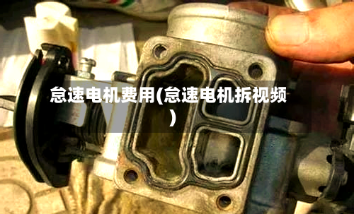 怠速电机费用(怠速电机拆视频)