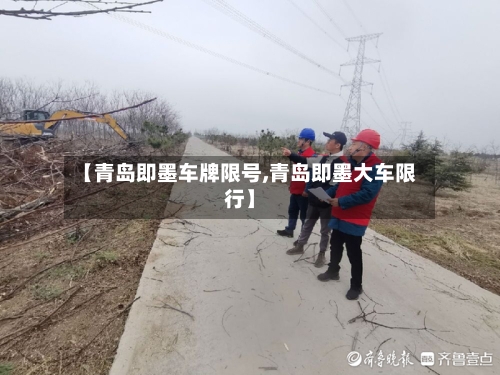 【青岛即墨车牌限号,青岛即墨大车限行】-第3张图片