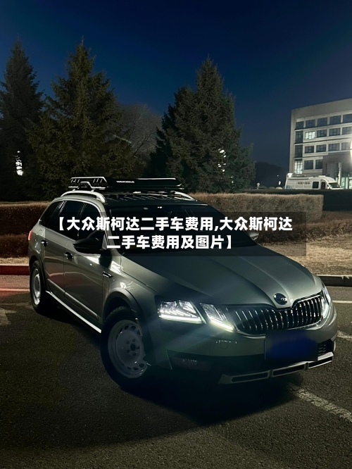 【大众斯柯达二手车费用,大众斯柯达二手车费用及图片】