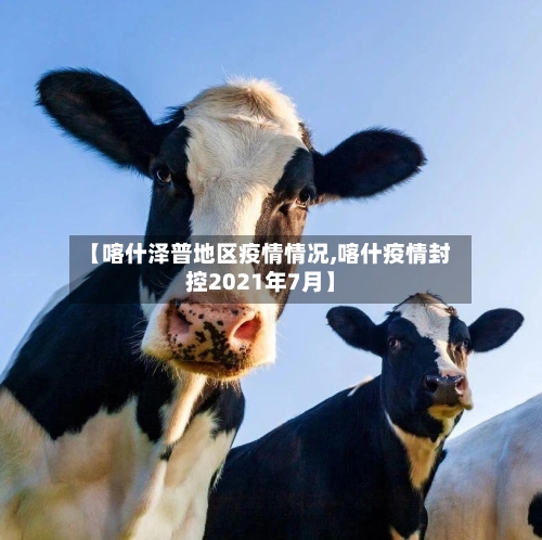【喀什泽普地区疫情情况,喀什疫情封控2021年7月】