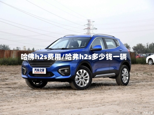 哈佛h2s费用/哈弗h2s多少钱一辆-第2张图片