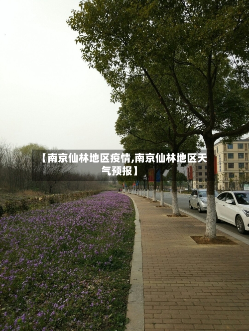 【南京仙林地区疫情,南京仙林地区天气预报】