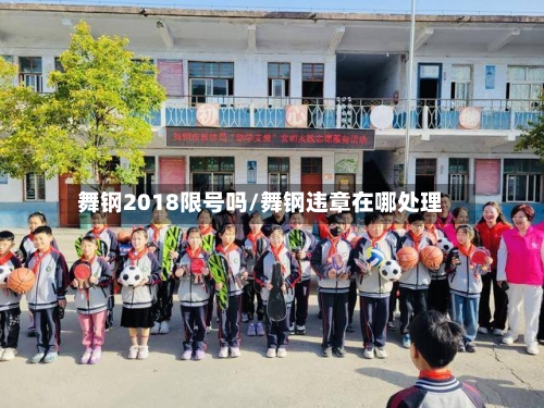 舞钢2018限号吗/舞钢违章在哪处理