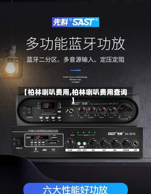 【柏林喇叭费用,柏林喇叭费用查询】-第2张图片