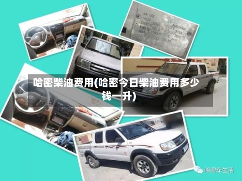 哈密柴油费用(哈密今日柴油费用多少钱一升)-第2张图片