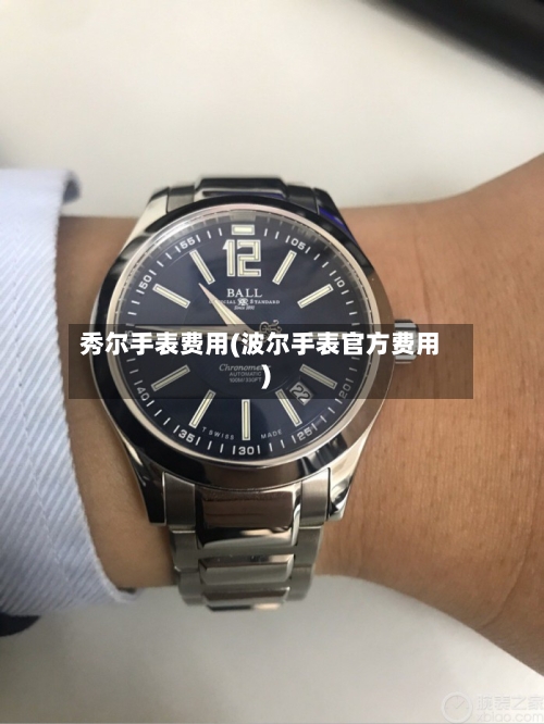 秀尔手表费用(波尔手表官方费用)-第3张图片