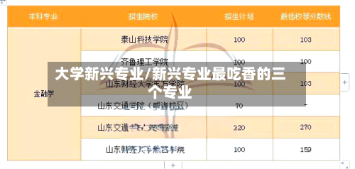 大学新兴专业/新兴专业最吃香的三个专业