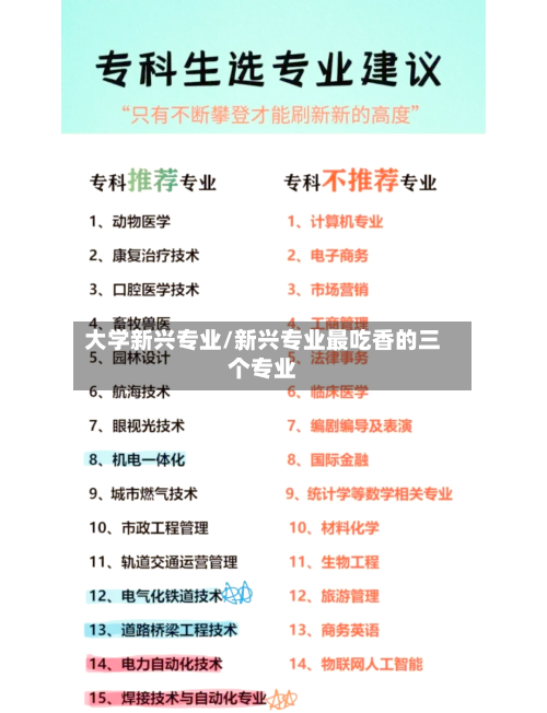 大学新兴专业/新兴专业最吃香的三个专业-第2张图片