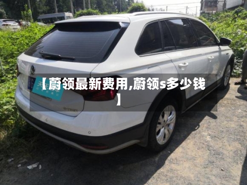 【蔚领最新费用,蔚领s多少钱】-第3张图片