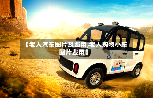【老人汽车图片及费用,老人购物小车图片费用】