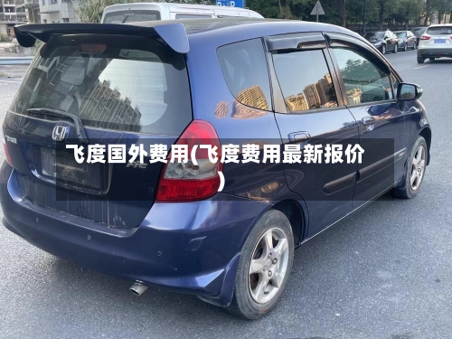 飞度国外费用(飞度费用最新报价)-第2张图片